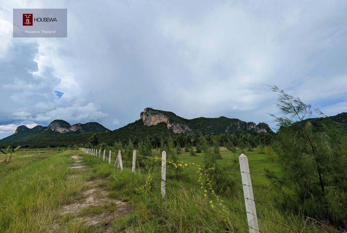 🌄 ขายที่ดินวิวภูเขา | ติดอุทยานสามร้อยยอด ใกล้ธรรมชาติ ทำเลศักยภาพเพื่อการพัฒนาในอนาคต