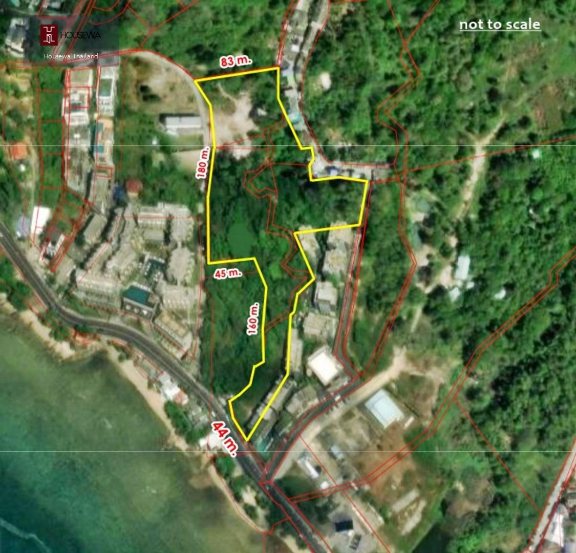 ขายที่ดินภูเก็ต | หาดกะหลิม (Kalim Beach)