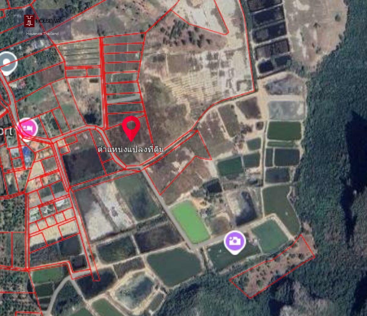 🌄 ขายที่ดินวิวภูเขา | ติดอุทยานสามร้อยยอด ใกล้ธรรมชาติ ทำเลศักยภาพเพื่อการพัฒนาในอนาคต