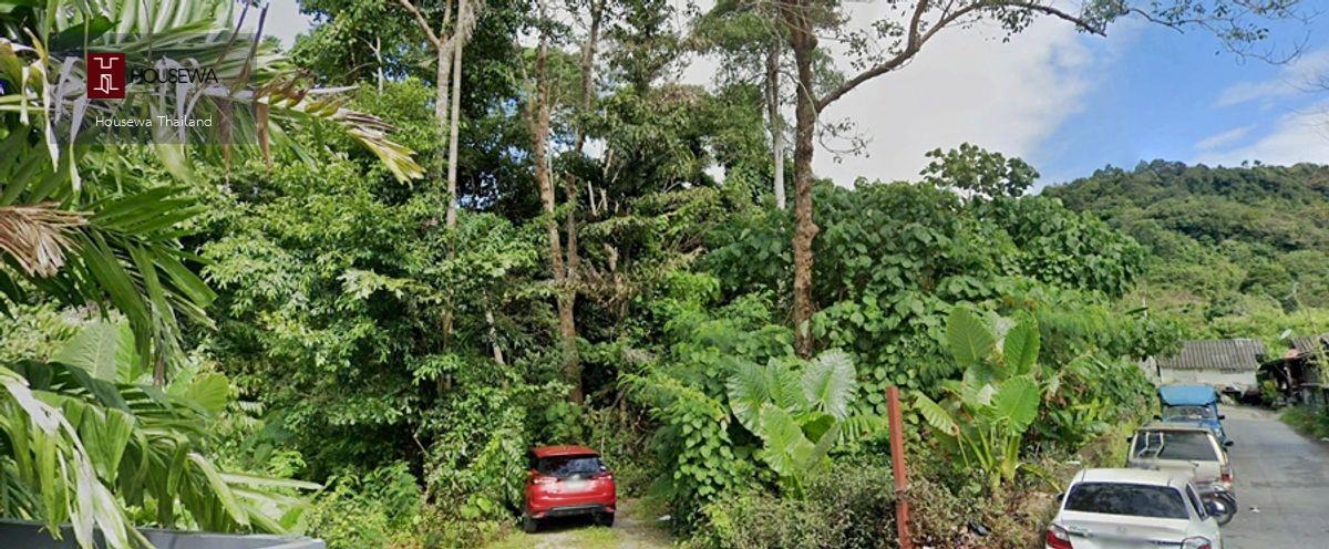 ขายที่ดินภูเก็ต | หาดกะหลิม (Kalim Beach)