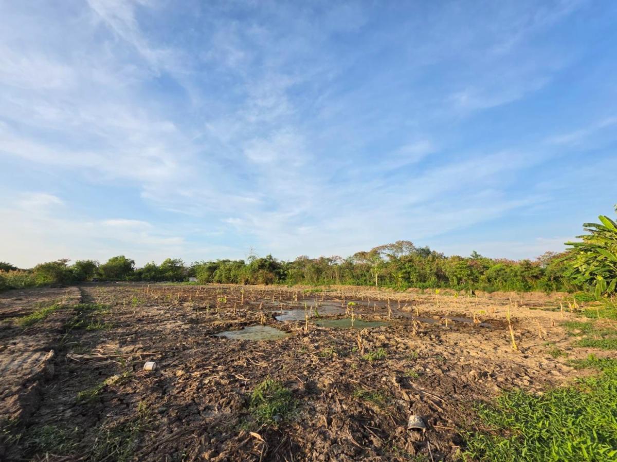 ให้เช่าที่ดินแปลงสวย สี่เหลี่ยมผืนผ้า – บรรยากาศสงบ ร่มเย็น ใกล้ความเจริญ