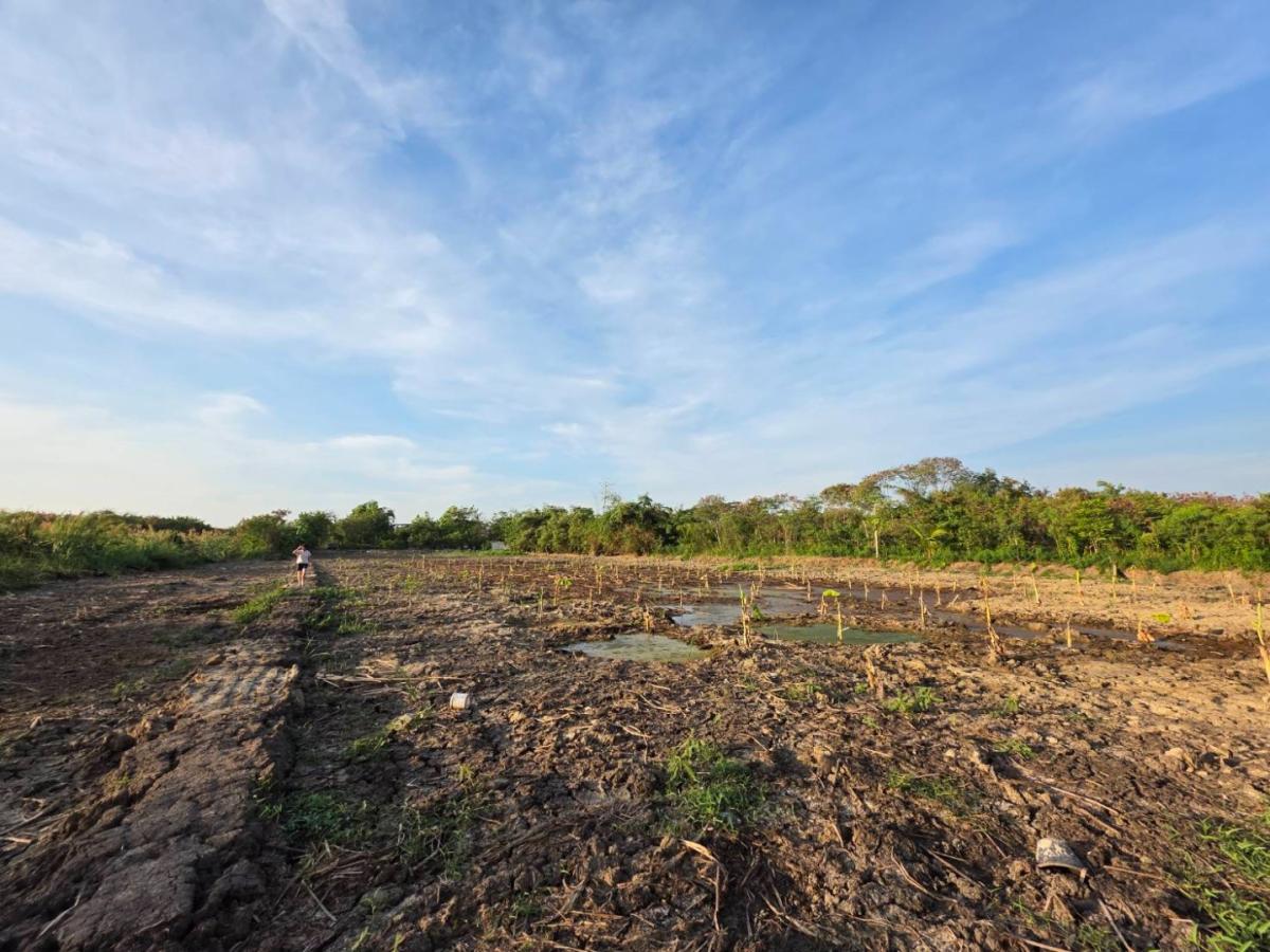 ให้เช่าที่ดินแปลงสวย สี่เหลี่ยมผืนผ้า – บรรยากาศสงบ ร่มเย็น ใกล้ความเจริญ