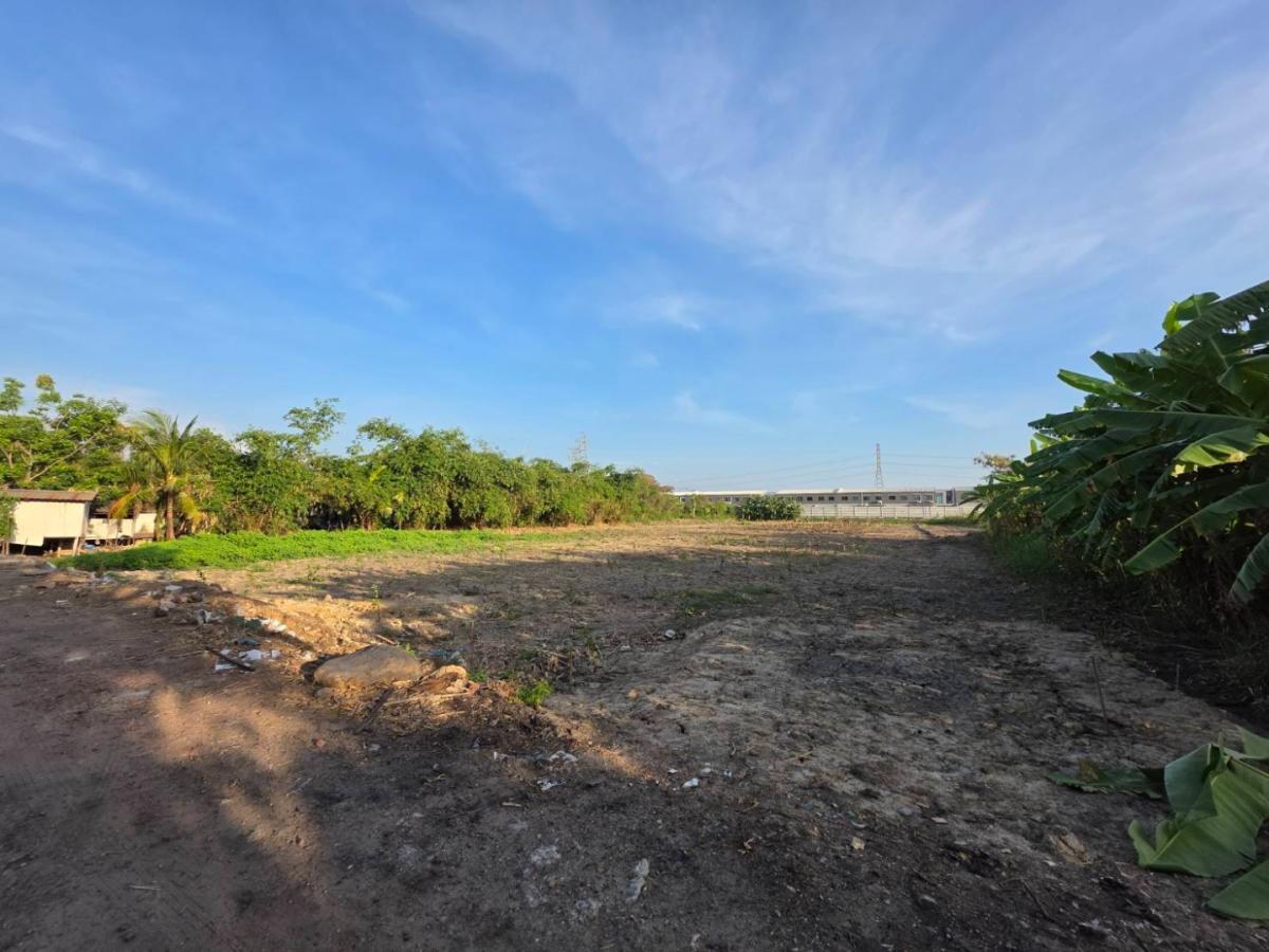 ให้เช่าที่ดินแปลงสวย สี่เหลี่ยมผืนผ้า – บรรยากาศสงบ ร่มเย็น ใกล้ความเจริญ