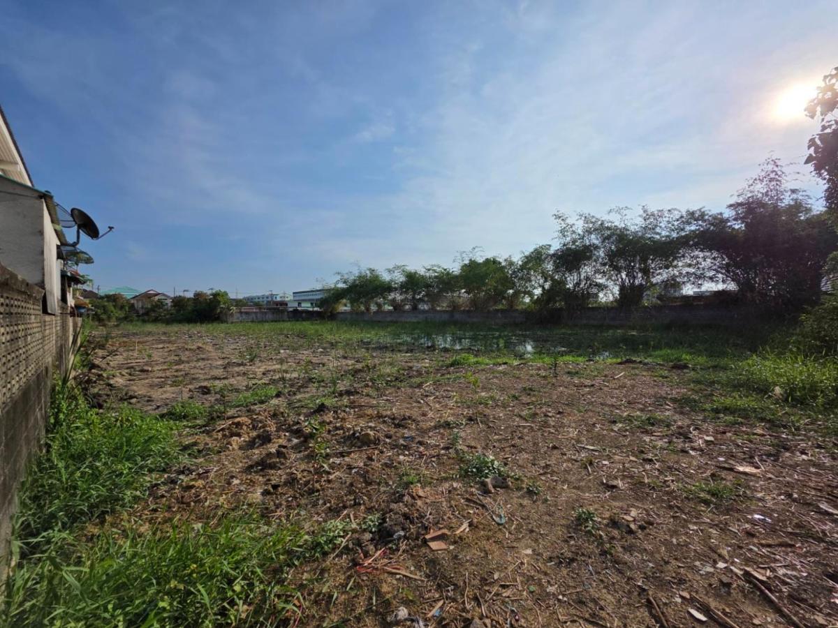 ให้เช่าที่ดินสวย ขนาด 3 ไร่พอดี – สี่เหลี่ยมผืนผ้าสมมาตร ถูกหลักฮวงจุ้ย
