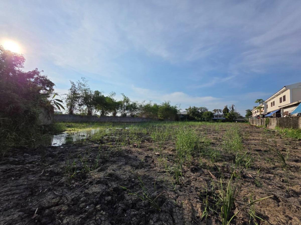 ให้เช่าที่ดินสวย ขนาด 3 ไร่พอดี – สี่เหลี่ยมผืนผ้าสมมาตร ถูกหลักฮวงจุ้ย