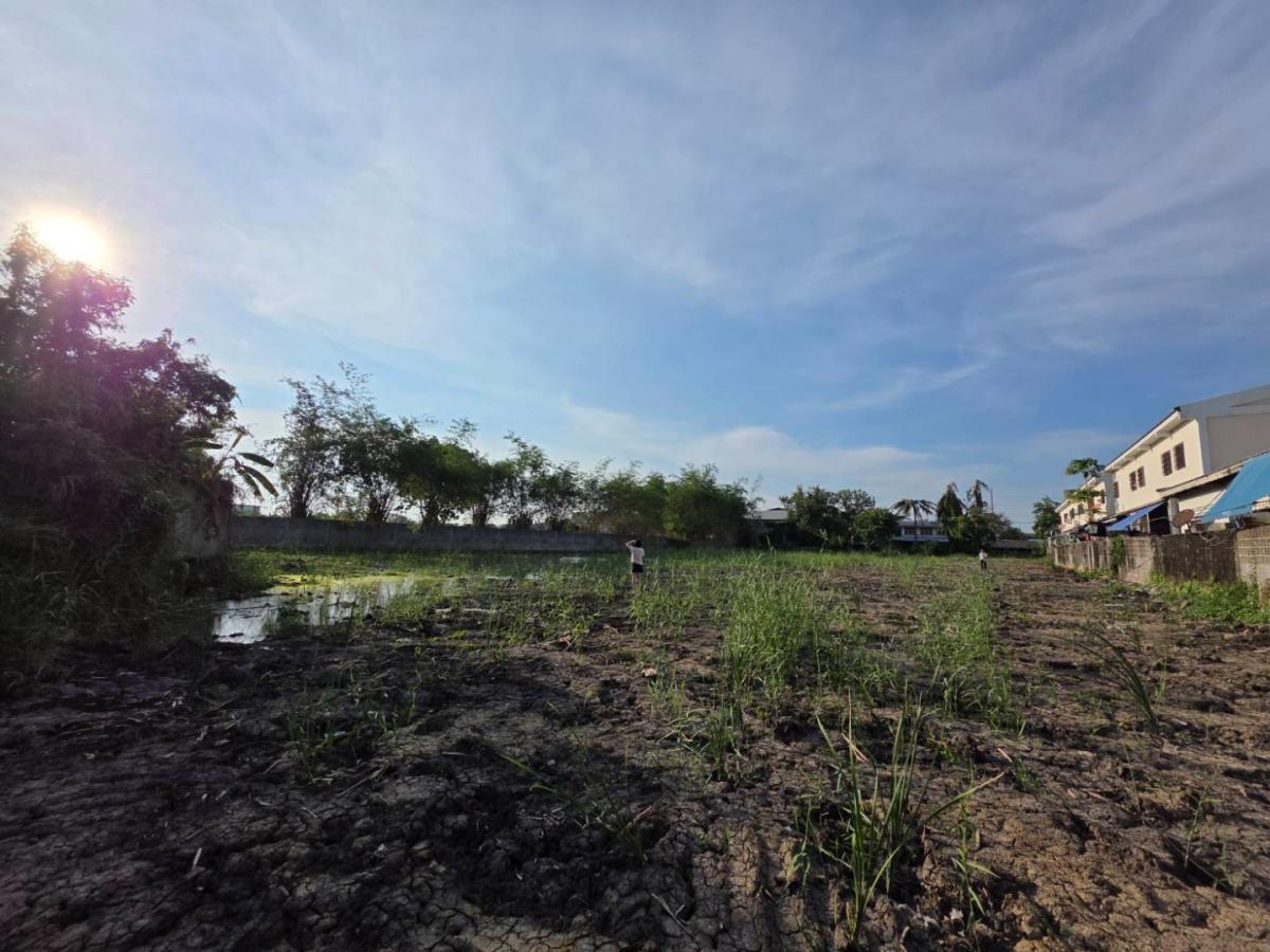 ให้เช่าที่ดินสวย ขนาด 3 ไร่พอดี – สี่เหลี่ยมผืนผ้าสมมาตร ถูกหลักฮวงจุ้ย