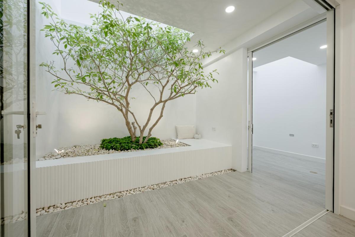 Aescape ปรีดี–เอกมัย (Artiar)