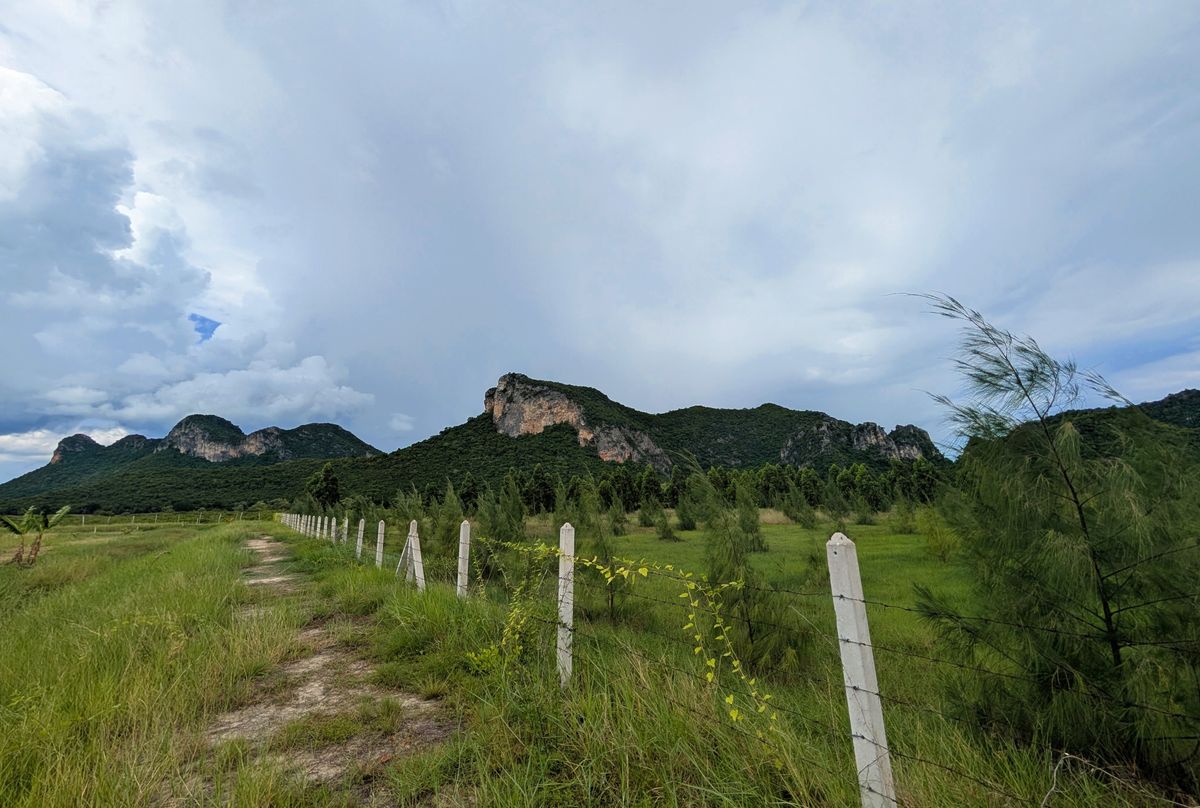🌄 ขายที่ดินวิวภูเขา | ติดอุทยานสามร้อยยอด ใกล้ธรรมชาติ ทำเลศักยภาพเพื่อการพัฒนาในอนาคต