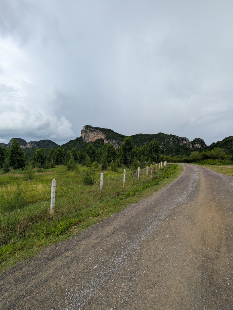 🌄 ขายที่ดินวิวภูเขา | ติดอุทยานสามร้อยยอด ใกล้ธรรมชาติ ทำเลศักยภาพเพื่อการพัฒนาในอนาคต