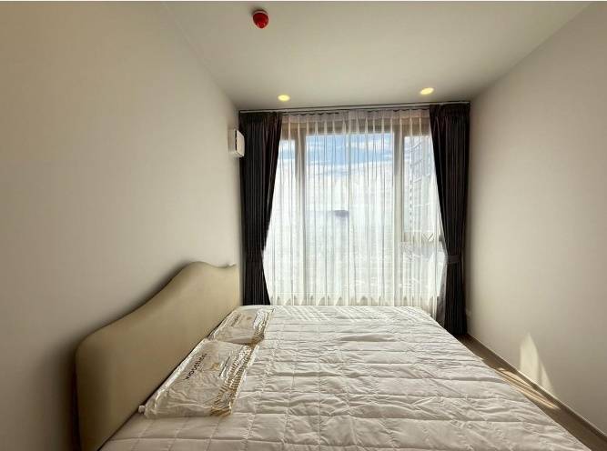  Whizdom The Forestias (Bangna KM.7) 