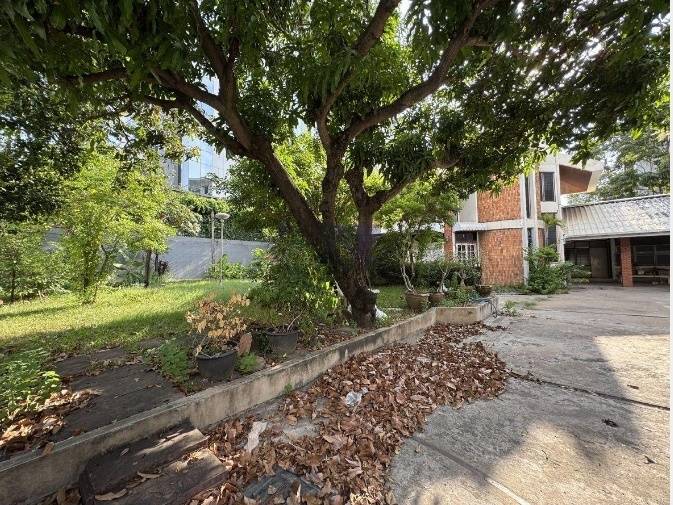 ให้เช่า บ้านเดี่ยว 2 ชั้น ใกล้ BTS ทองหล่อ เพียง 800 ม.