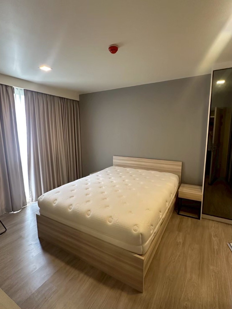 ให้เช่า Maestro 03 Ratchada | ห้องใหญ่ วิวสระ Pet-Friendly 100% 🐶🐱✨
