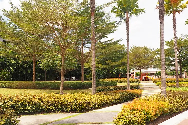 ภัสสร-กะทู้-ป่าตอง