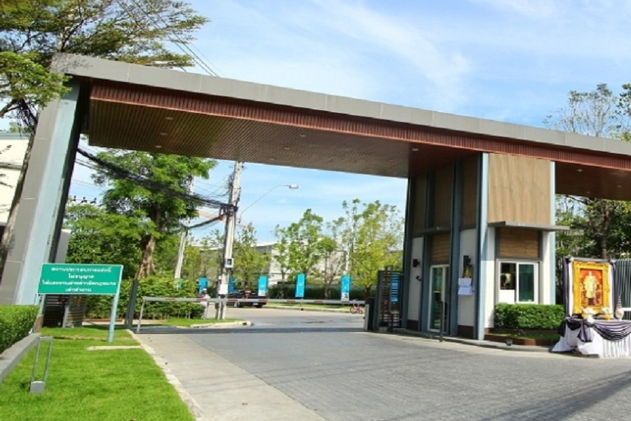 วิลเลต-ไลท์-ราชพฤกษ์-ปิ่นเกล้า