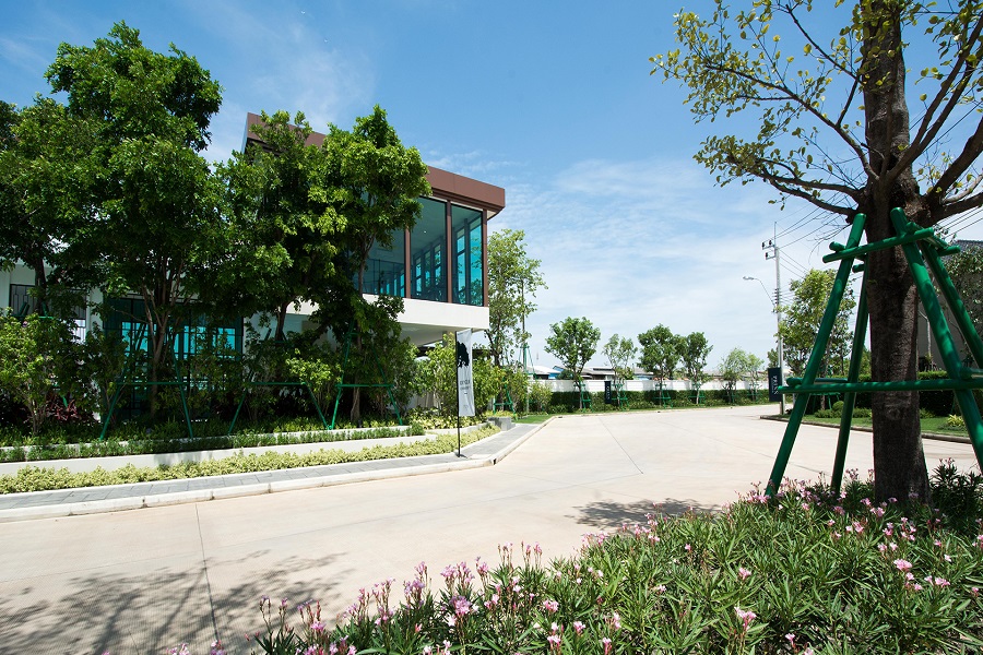 ปริญญ์-เพชรเกษม-69